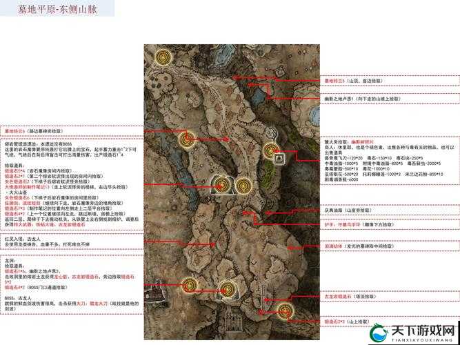 艾尔登法环Steam预购全攻略，轻松解锁黄金树幽影新冒险