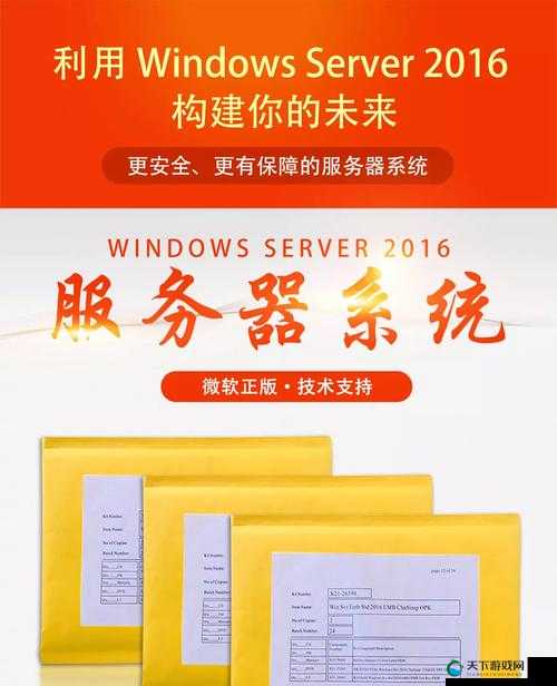 日本 Windows Server 技术应用与发展前景探讨
