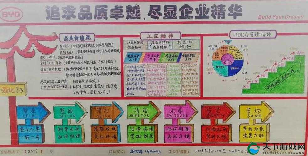 成色好的 Y31 标准:深度剖析其卓越品质与独特优势