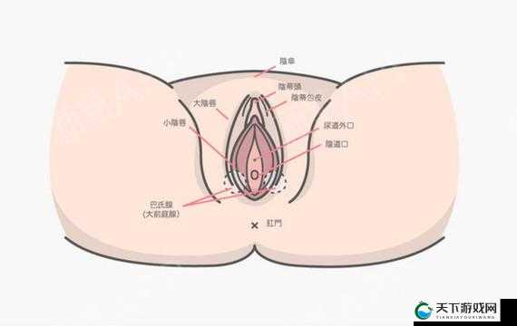 女生强烈要求男生用特定方式触碰其私密部位相关探讨