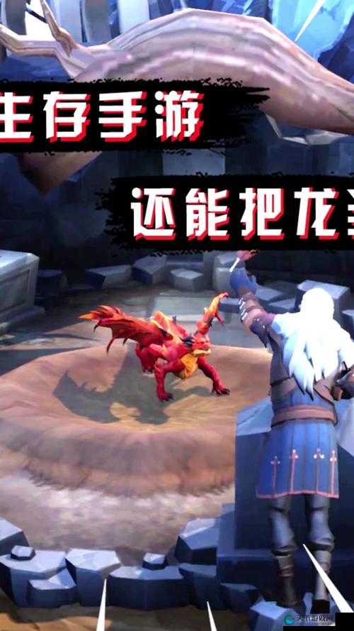 冰原守卫者与动物皮的奥秘