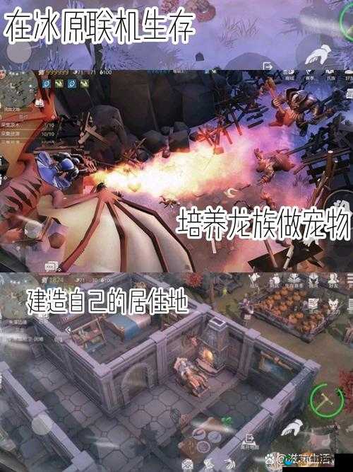 冰原守卫者组队玩法攻略