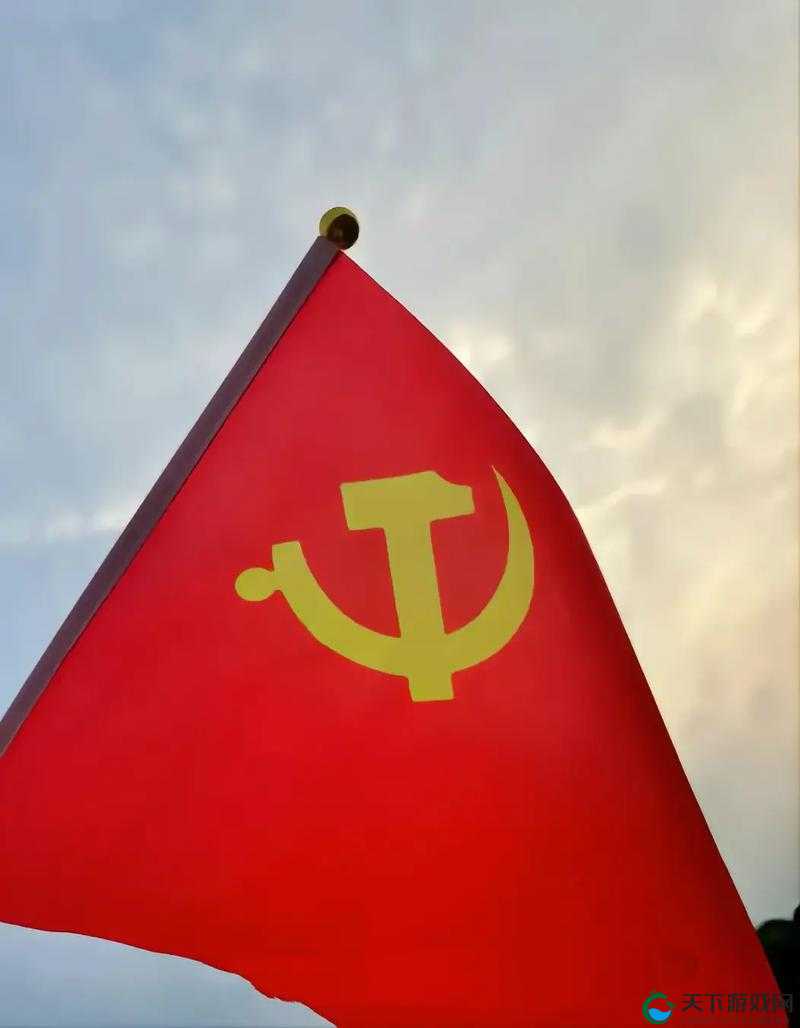 中国大叔武警 Gary 的入党经历:一段坚定信仰与不懈追求的历程