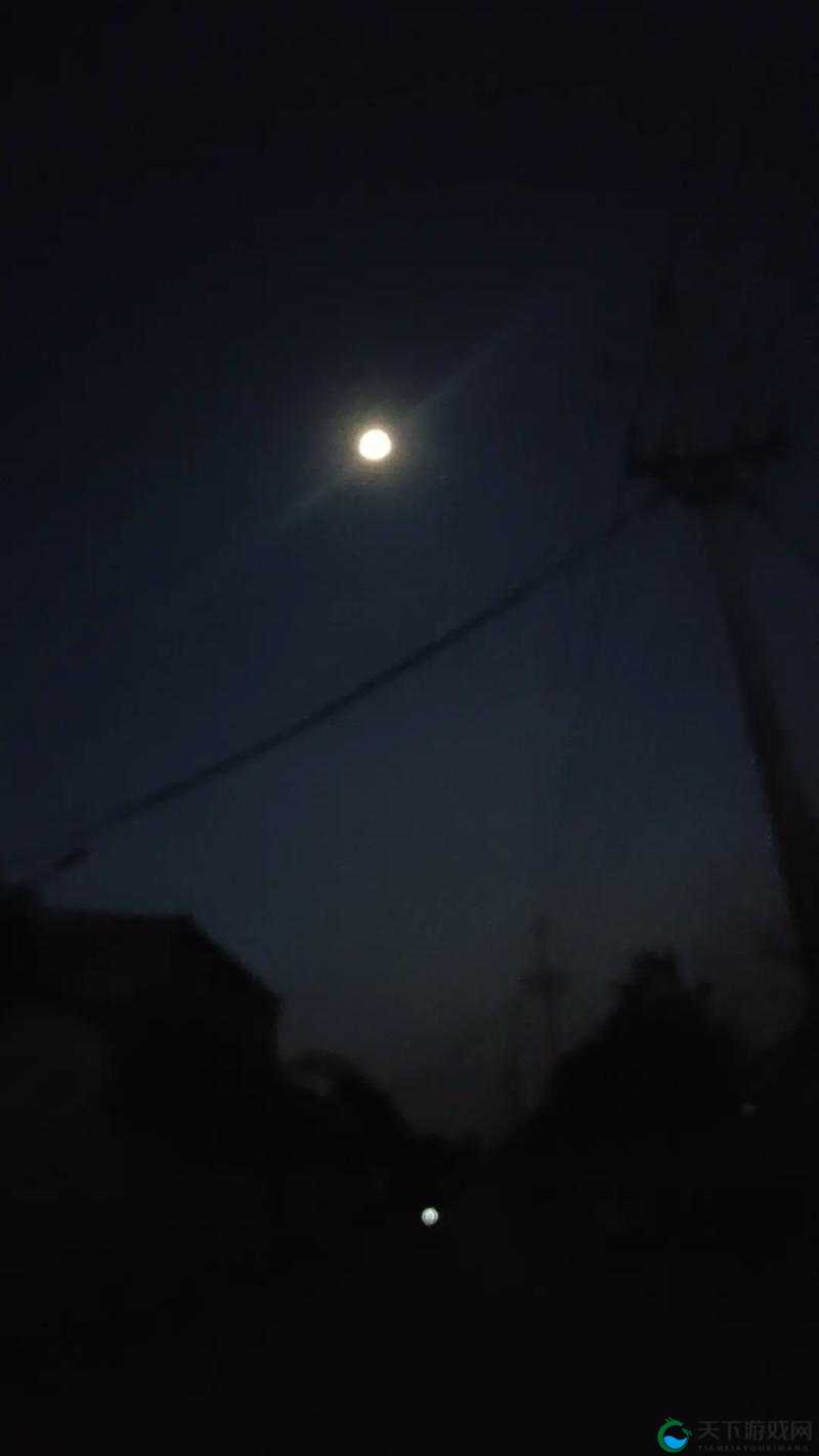 适合深夜一个人看的直播：安静的夜，心灵的慰藉