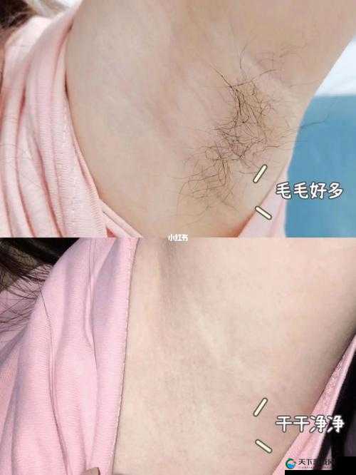 妈妈美白蚌埠是私人的吗：探寻美白蚌埠背后的真相