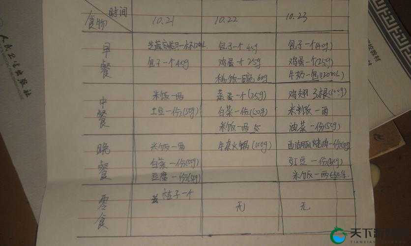 肉食家庭食取报告 1 免费：关于家庭饮食结构与营养摄入的详细分析