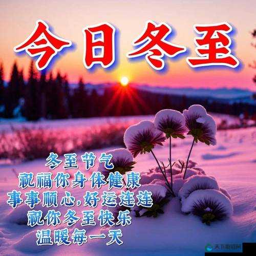 水深火热糙汉 H1VL1 冬至：一个独特而引人关注的存在