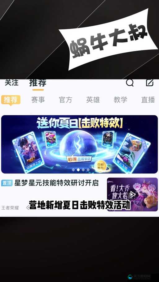 王者荣耀六周年击败特效领不了解决办法在资源管理中的重要性及优化策略