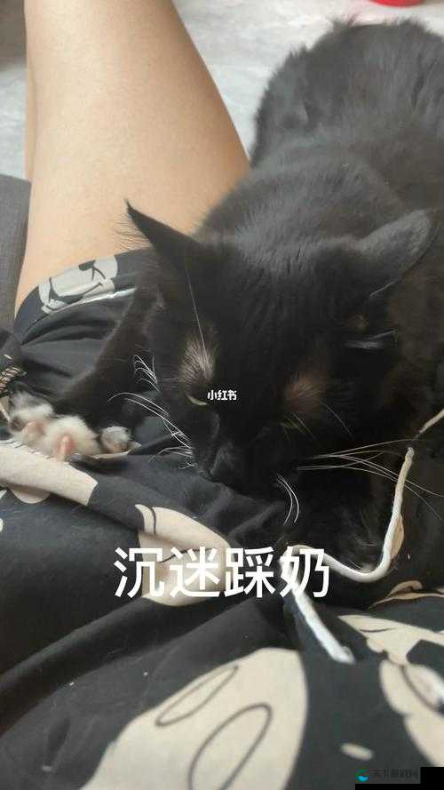 嗟嗟嗟嗟嗟嗟嗟好痛——那难以言喻的极致痛楚
