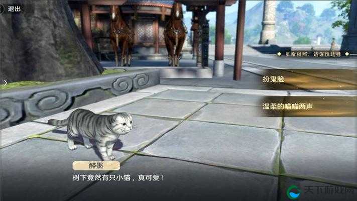 天刀手游猫之友全攻略,资源管理的智慧之道