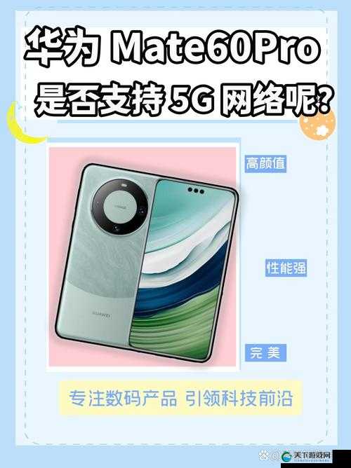香蕉视频 天天爽：畅享高速网络，感受极致体验