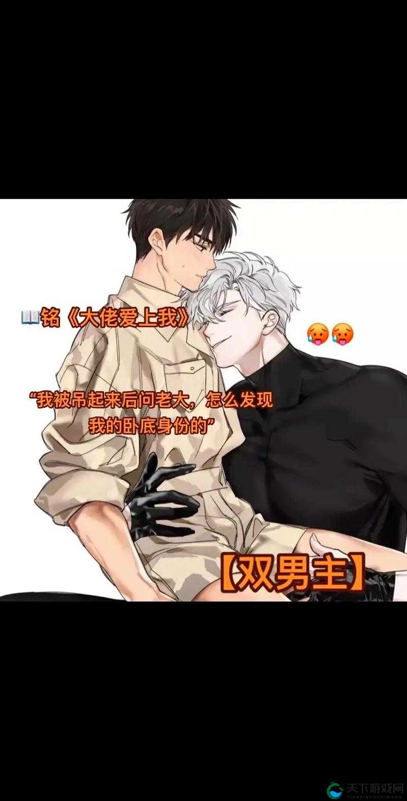 无法合拢的皇帝双男主：宫廷权谋与情感交织的传奇之旅