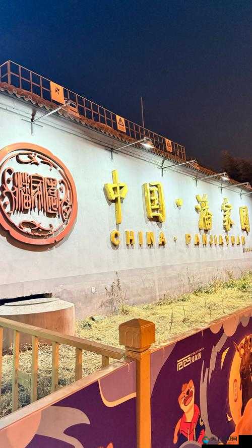 日韩 XXX ：探索独特文化交融与创新发展的奥秘之旅