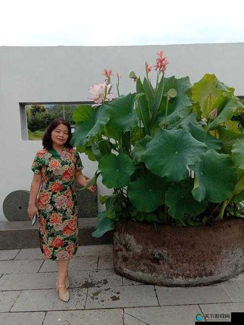 丁长生日蒋玉蝶的特别祝福与美好回忆