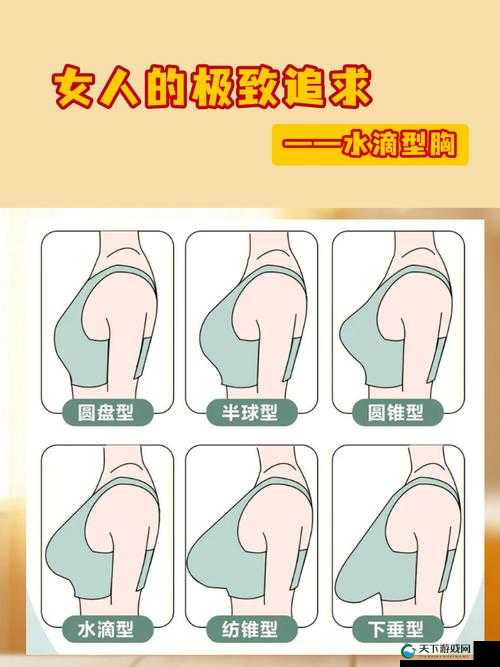 水滴形与圆形丰胸对比：哪种更适合你的美胸追求