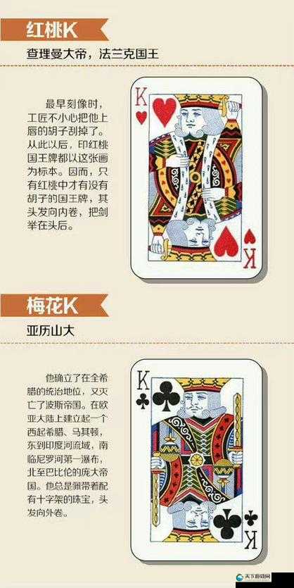 打扑克不盖被子：揭示其背后隐藏的趣味与故事