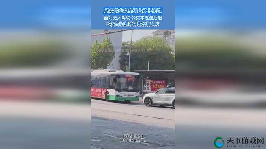 911 爆料网红领巾回家的路：探寻背后的真相与温暖