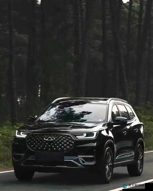 497799 欧洲版国产 SUV：卓越品质引领潮流