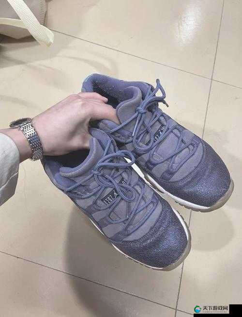 宿舍 AJ11 飞机：青春的记忆与梦想的飞翔之地