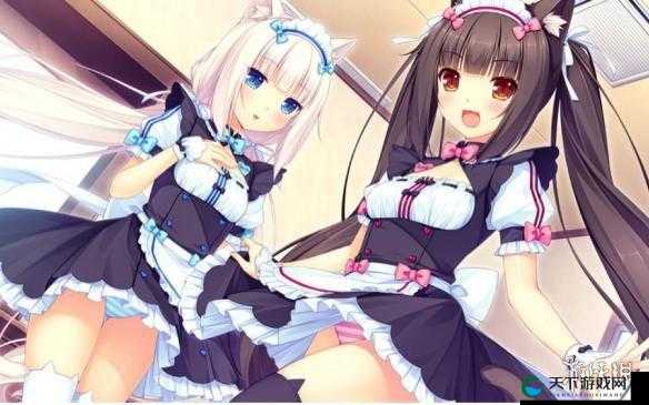 猫娘拔萝卜的动画：一场充满趣味与惊喜的奇妙之旅