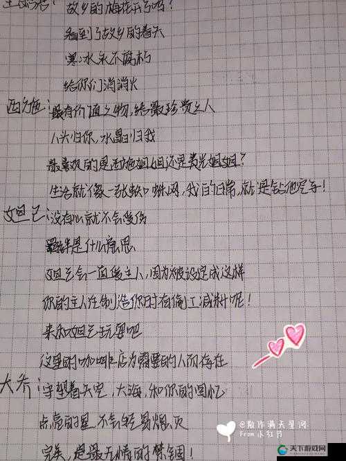 王者荣耀惟愿与你满分攻略，资源管理的艺术