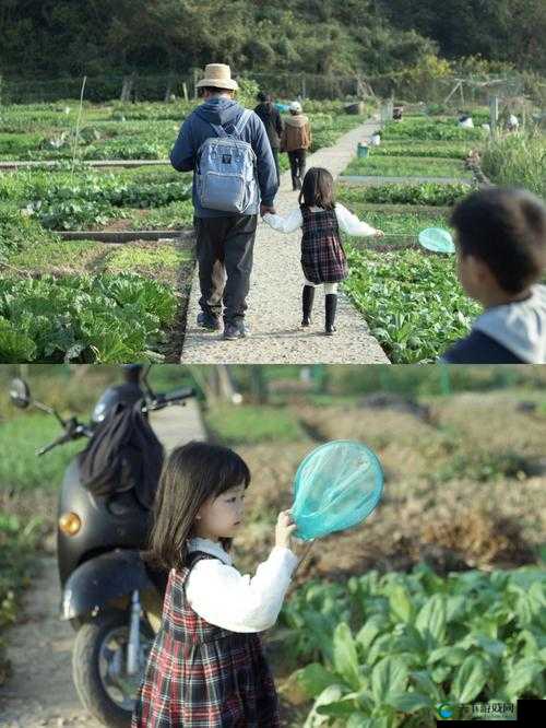 旅行者和丽莎拔萝卜视频:充满欢乐与挑战的田园时光
