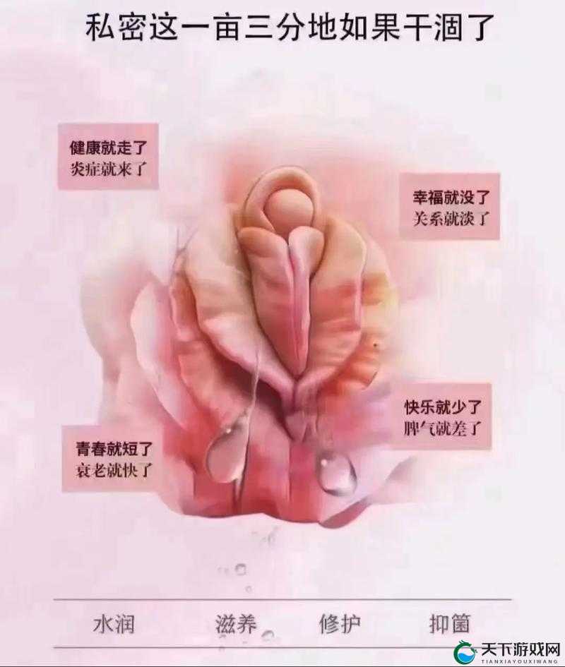 :BBBB 㐅㐅㐅 搡 BBB 视频:一场私密的情感交流
