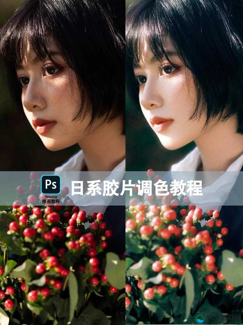 PS 一级二级调色大片视频教程大全：从入门到精通