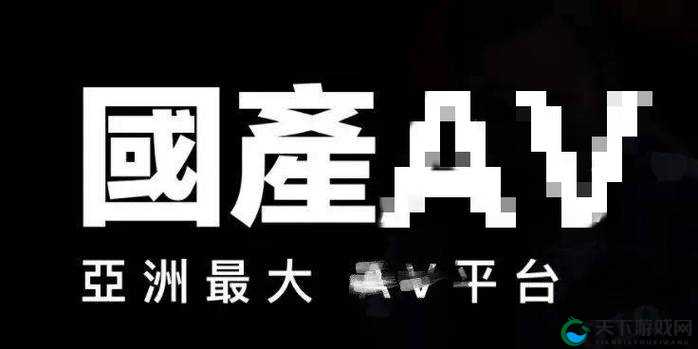 麻豆传媒国产：精心打造的独特影像内容制作团队