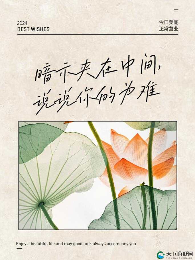 被夹在中间的磨心：困境中的抉择与坚持