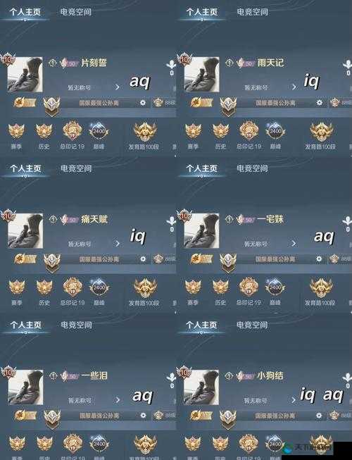 王者荣耀惟愿与你活动全攻略，资源管理的艺术