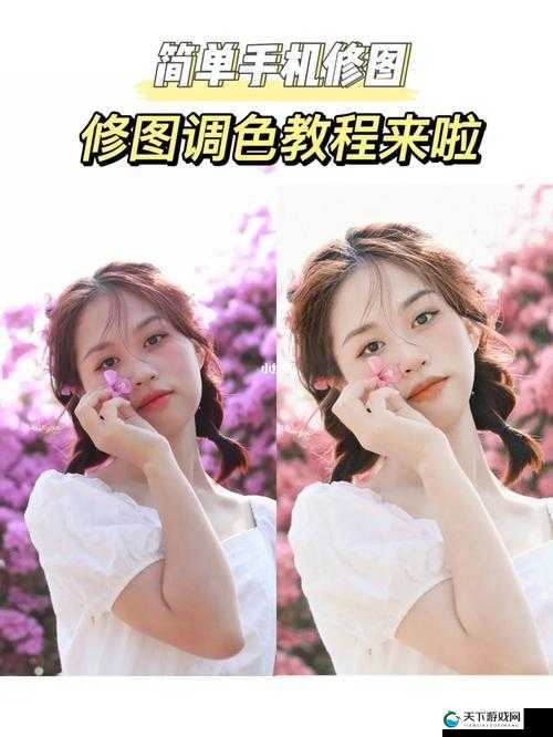 美国大片视频的肤色教程：专业技巧与实战解析