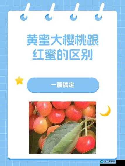 黄蜜大樱桃和红蜜的区别有哪些