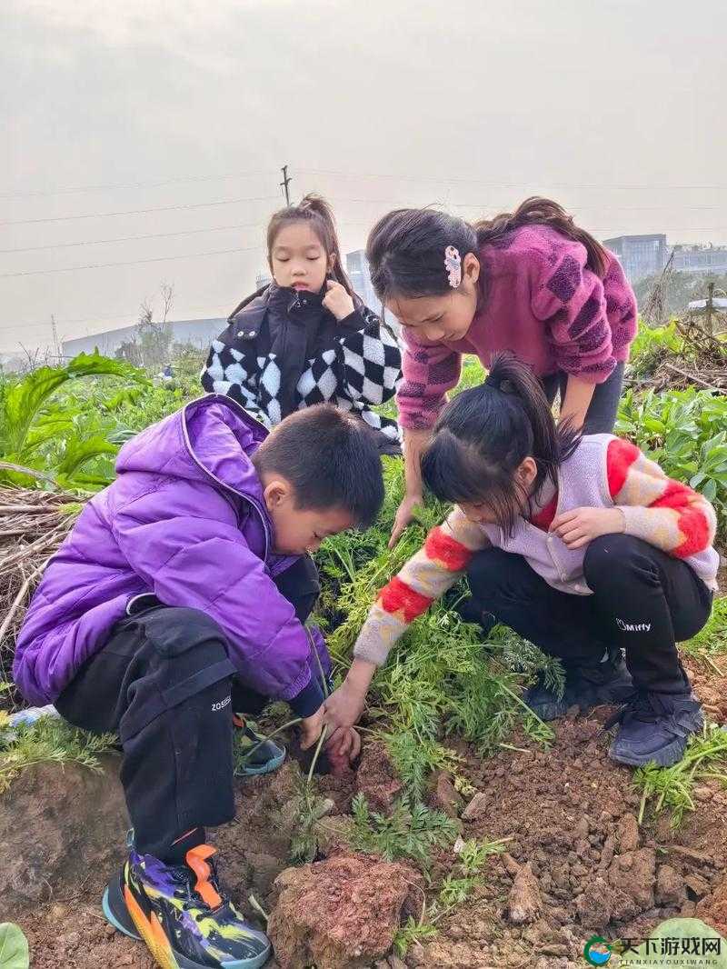 如何让自己亲身去体验拔萝卜的乐趣