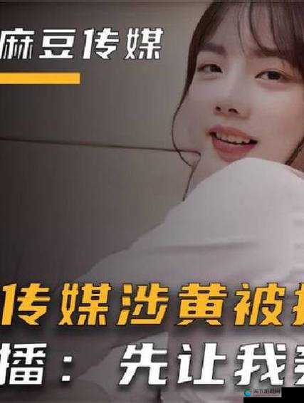 麻豆文化传媒精品：打造高质量文化内容的引领者
