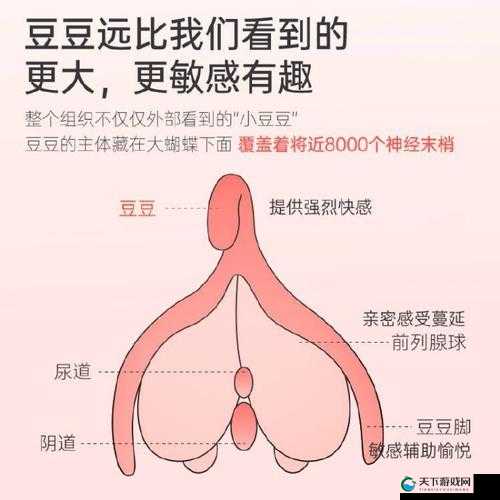 用力挺进她的花苞 啊太深漫：极致私密的探索之旅