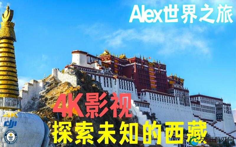 神秘电影官网入口:带你探索精彩影视世界之旅