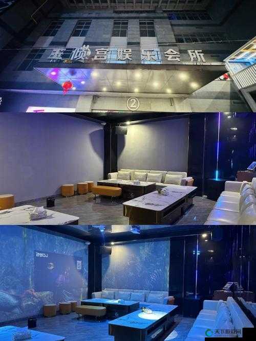 久久娱乐网：致力于提供丰富多样的娱乐内容与优质体验