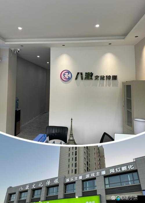 水蜜桃 881118 传媒公司:致力于打造优质传媒内容的专业团队