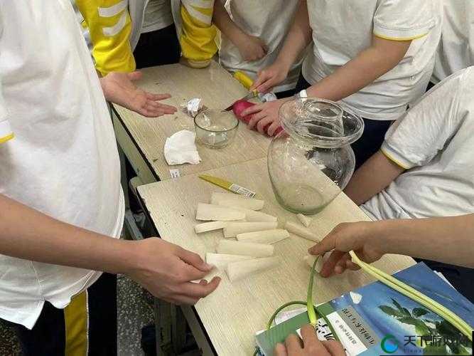 生物课老师引领同学们亲身实践体验