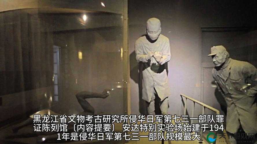 日本免费一区视频精彩内容全揭秘