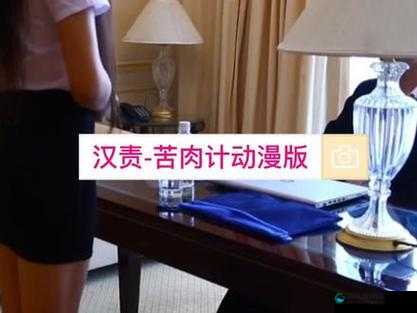 深入探索汉责文化 sp 实践的内涵与意义