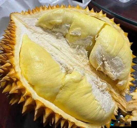 榴莲色斑让你流连忘返 503 真的是让人难以忘怀的存在呀