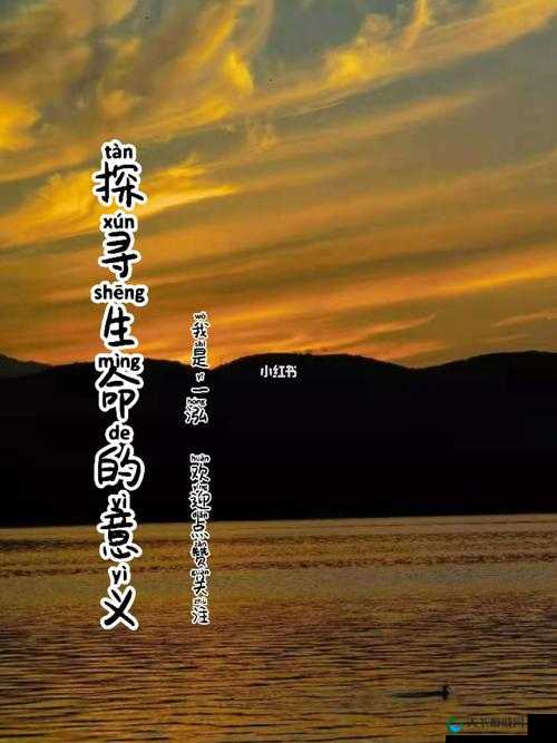 umakmantauzun, haya,uzun 第一：探寻生命的意义与美好