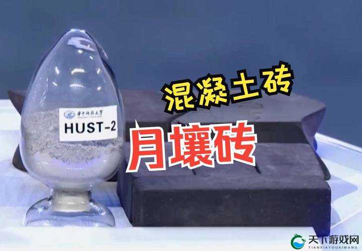 亚洲砖矿砖码 2024 相关内容引发的思考与探讨