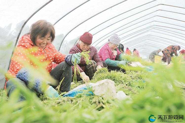 hc 交女人与鲁交农场：探索别样的独特情境