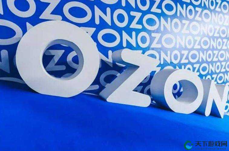 俄罗斯 ozon 选品：探索独特商机 开启跨境贸易新征程