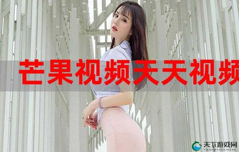 今天高清视频免费播放：畅享精彩无需付费的视觉盛宴