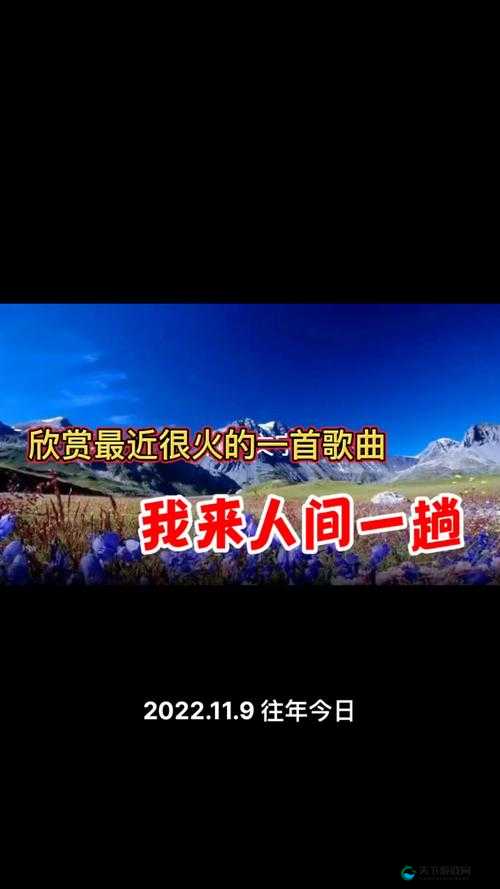 チェックのワンピース：一首动听歌曲的精彩呈现