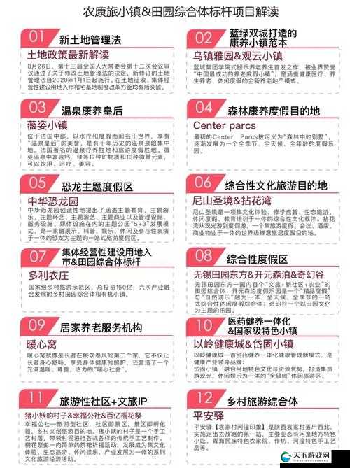 70 岁以上森林交易价格表：详细解读与市场分析